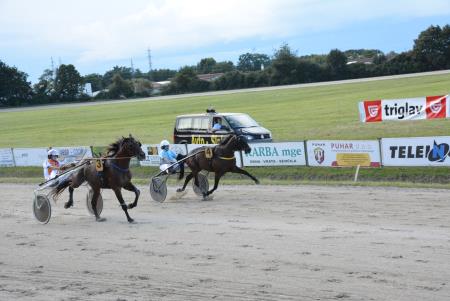 Kasaške dirke v Ljutomeru1